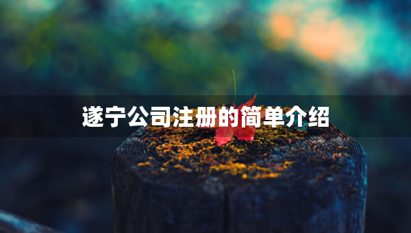 遂寧公司注冊(cè)的簡單介紹