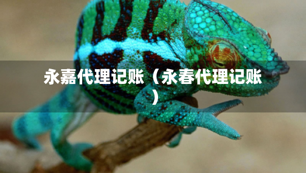 永嘉代理記賬（永春代理記賬）