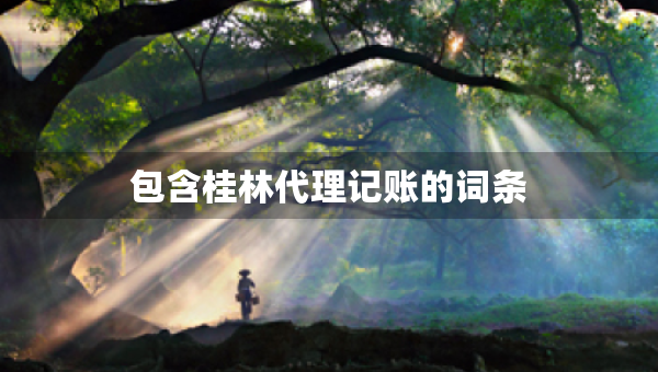 包含桂林代理記賬的詞條