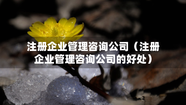 注冊(cè)企業(yè)管理咨詢公司（注冊(cè)企業(yè)管理咨詢公司的好處）