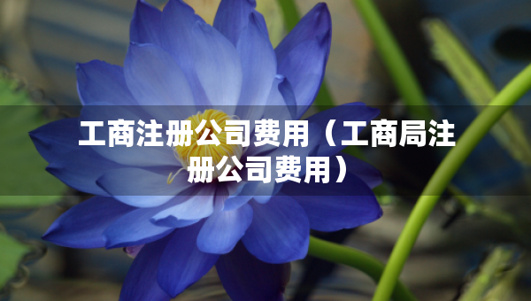 工商注冊公司費用（工商局注冊公司費用）
