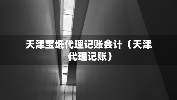 天津?qū)氎娲碛涃~會(huì)計(jì)（天津 代理記賬）