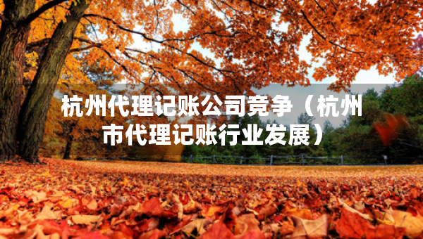 杭州代理記賬公司競爭（杭州市代理記賬行業(yè)發(fā)展）