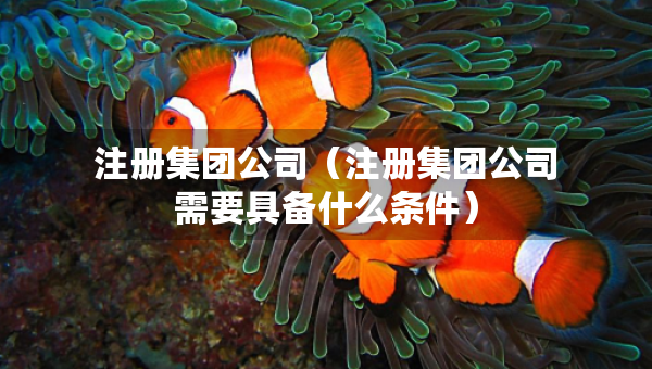 注冊(cè)集團(tuán)公司（注冊(cè)集團(tuán)公司需要具備什么條件）