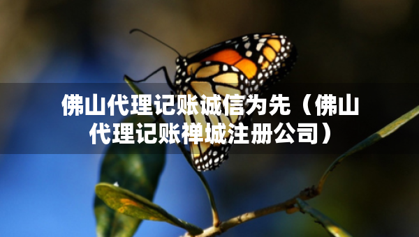 佛山代理記賬誠信為先（佛山代理記賬禪城注冊公司）