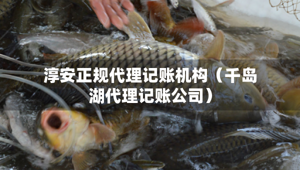 淳安正規(guī)代理記賬機(jī)構(gòu)（千島湖代理記賬公司）