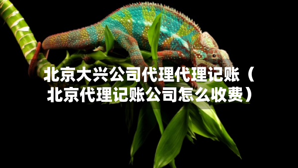 北京大興公司代理代理記賬（北京代理記賬公司怎么收費）