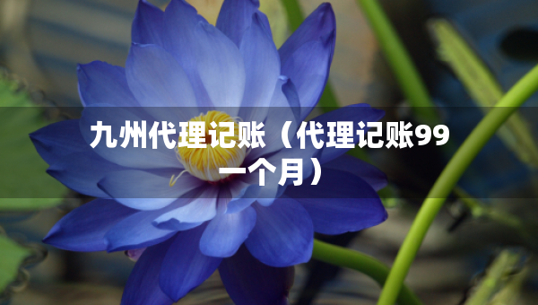 九州代理記賬（代理記賬99一個(gè)月）