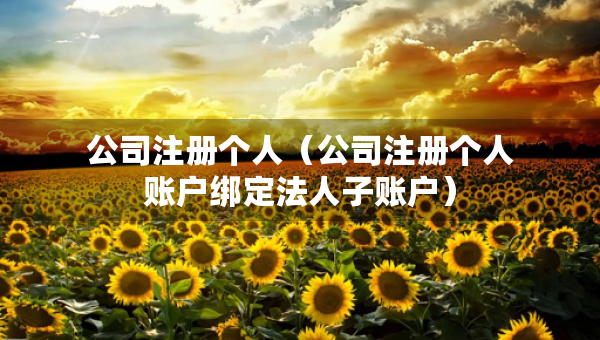 公司注冊(cè)個(gè)人（公司注冊(cè)個(gè)人賬戶綁定法人子賬戶）
