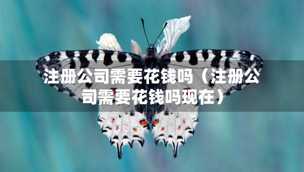 注冊(cè)公司需要花錢嗎（注冊(cè)公司需要花錢嗎現(xiàn)在）