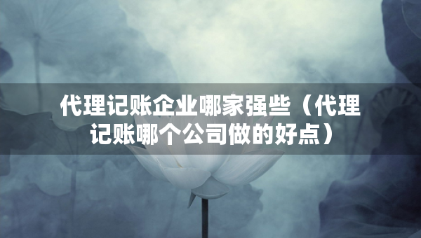 代理記賬企業(yè)哪家強(qiáng)些（代理記賬哪個(gè)公司做的好點(diǎn)）