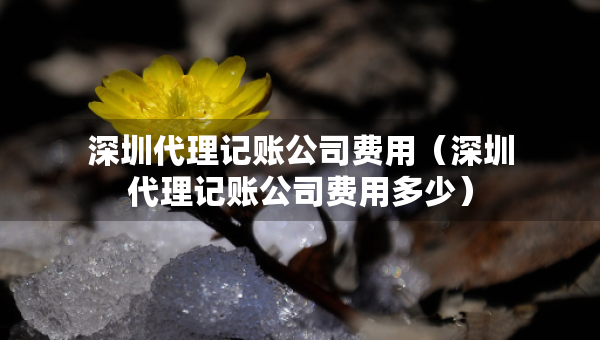 深圳代理記賬公司費用（深圳代理記賬公司費用多少）