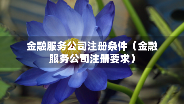 金融服務(wù)公司注冊條件（金融服務(wù)公司注冊要求）