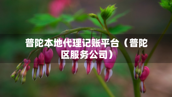普陀本地代理記賬平臺(tái)（普陀區(qū)服務(wù)公司）