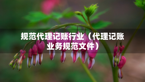 規(guī)范代理記賬行業(yè)（代理記賬業(yè)務(wù)規(guī)范文件）