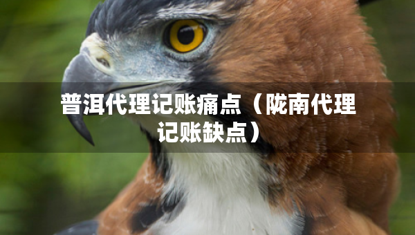普洱代理記賬痛點(diǎn)（隴南代理記賬缺點(diǎn)）