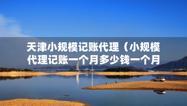 天津小規(guī)模記賬代理（小規(guī)模代理記賬一個月多少錢一個月）