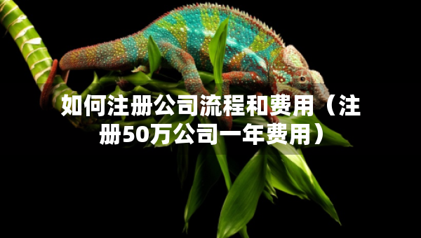 如何注冊(cè)公司流程和費(fèi)用（注冊(cè)50萬(wàn)公司一年費(fèi)用）