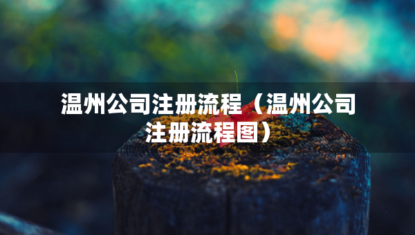 溫州公司注冊流程（溫州公司注冊流程圖）