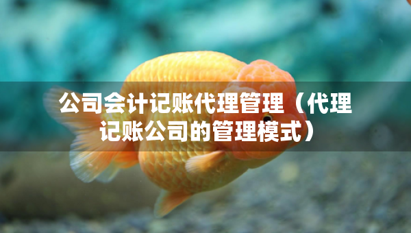 公司會(huì)計(jì)記賬代理管理（代理記賬公司的管理模式）