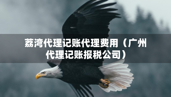 荔灣代理記賬代理費用（廣州代理記賬報稅公司）