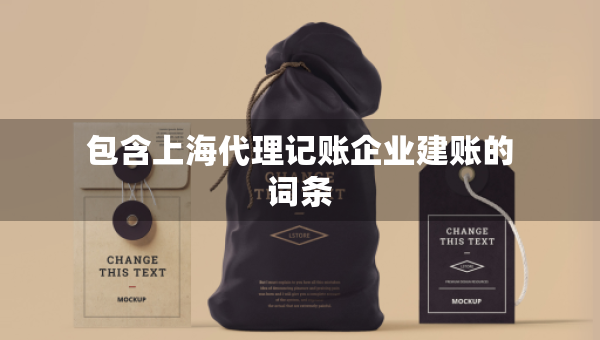 包含上海代理記賬企業(yè)建賬的詞條