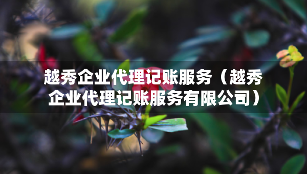 越秀企業(yè)代理記賬服務(wù)（越秀企業(yè)代理記賬服務(wù)有限公司）
