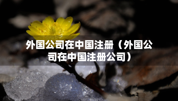 外國公司在中國注冊（外國公司在中國注冊公司）