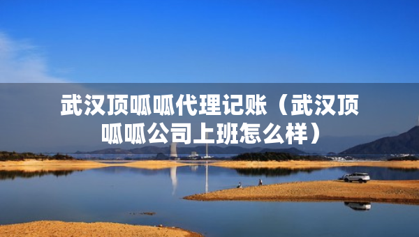 武漢頂呱呱代理記賬（武漢頂呱呱公司上班怎么樣）