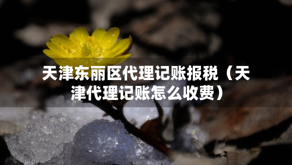 天津東麗區(qū)代理記賬報(bào)稅（天津代理記賬怎么收費(fèi)）