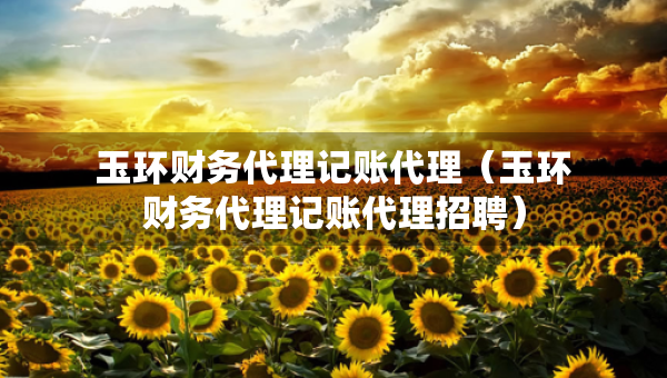 玉環(huán)財(cái)務(wù)代理記賬代理（玉環(huán)財(cái)務(wù)代理記賬代理招聘）