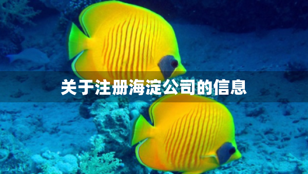 關(guān)于注冊海淀公司的信息