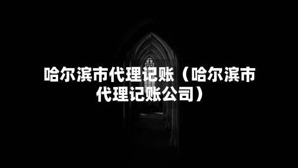 哈爾濱市代理記賬（哈爾濱市代理記賬公司）