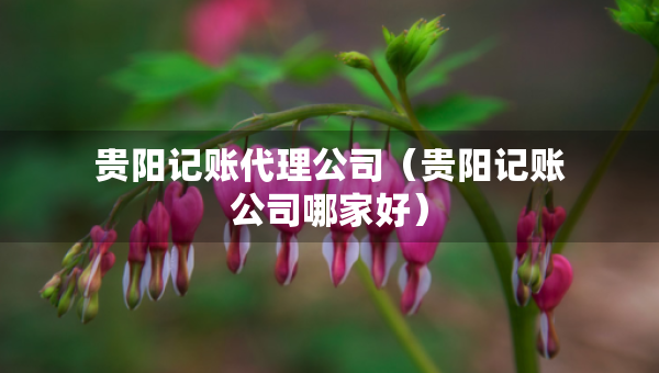貴陽記賬代理公司（貴陽記賬公司哪家好）