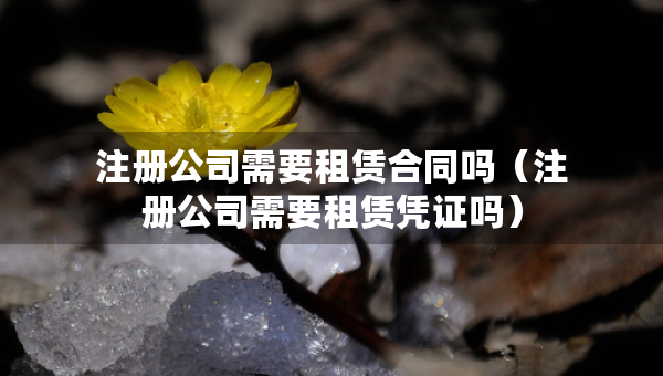 注冊公司需要租賃合同嗎（注冊公司需要租賃憑證嗎）