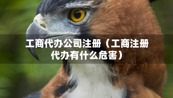 工商代辦公司注冊(cè)（工商注冊(cè)代辦有什么危害）