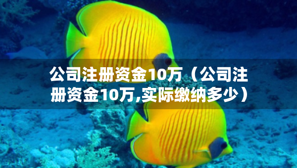 公司注冊資金10萬（公司注冊資金10萬,實際繳納多少）