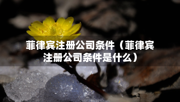 菲律賓注冊(cè)公司條件（菲律賓注冊(cè)公司條件是什么）