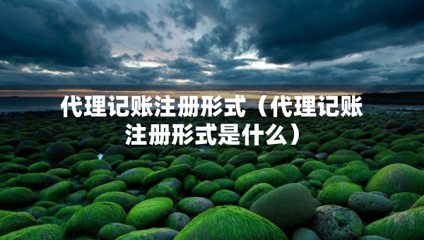 代理記賬注冊形式（代理記賬注冊形式是什么）