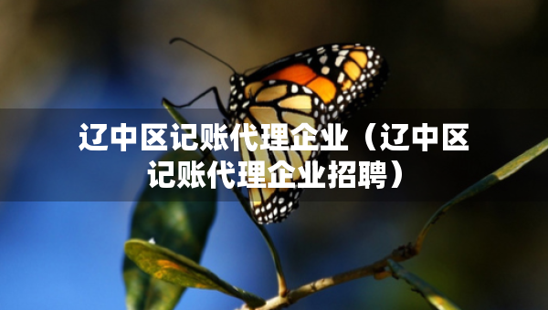 遼中區(qū)記賬代理企業(yè)（遼中區(qū)記賬代理企業(yè)招聘）