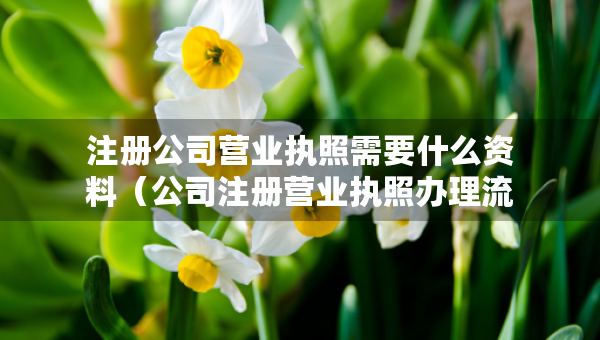 注冊(cè)公司營(yíng)業(yè)執(zhí)照需要什么資料（公司注冊(cè)營(yíng)業(yè)執(zhí)照辦理流程）