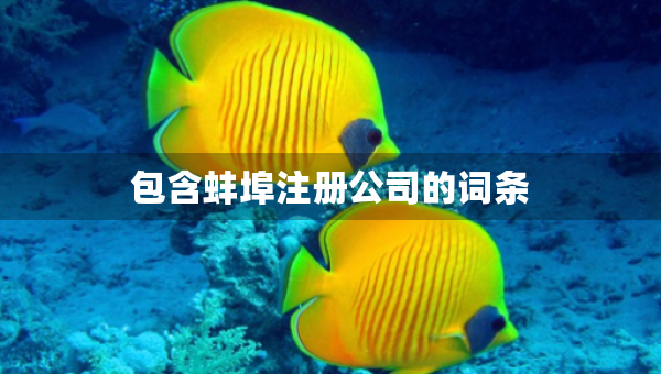 包含蚌埠注冊(cè)公司的詞條