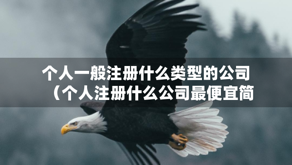 個(gè)人一般注冊(cè)什么類型的公司（個(gè)人注冊(cè)什么公司最便宜簡(jiǎn)單?）
