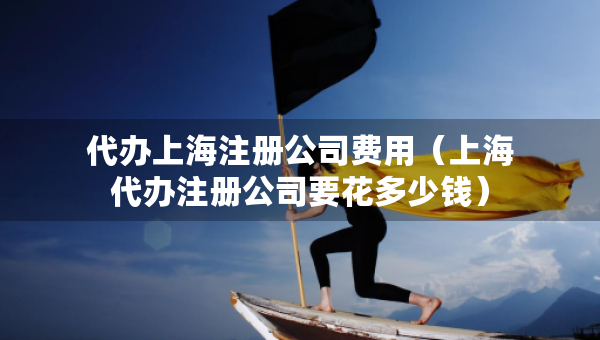代辦上海注冊公司費用（上海代辦注冊公司要花多少錢）