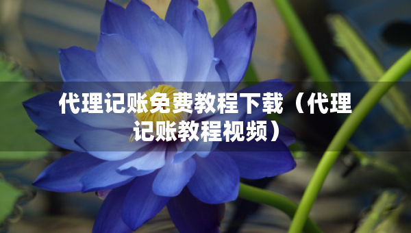 代理記賬免費教程下載（代理記賬教程視頻）
