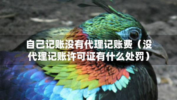 自己記賬沒(méi)有代理記賬費(fèi)（沒(méi)代理記賬許可證有什么處罰）