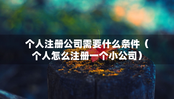 個人注冊公司需要什么條件（個人怎么注冊一個小公司）