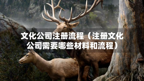 文化公司注冊流程（注冊文化公司需要哪些材料和流程）
