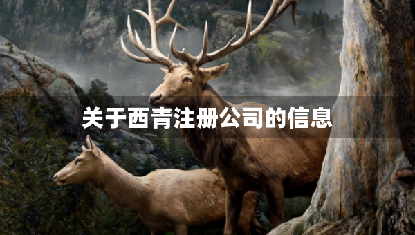 關(guān)于西青注冊(cè)公司的信息