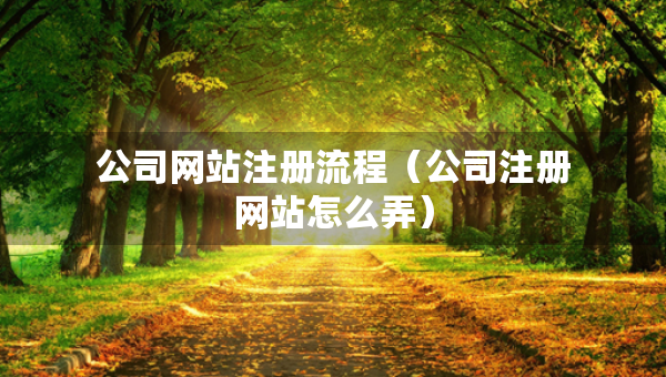 公司網(wǎng)站注冊流程（公司注冊網(wǎng)站怎么弄）
